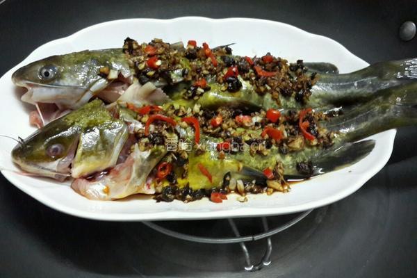 蒜蓉豉汁黄骨鱼的做法图解4