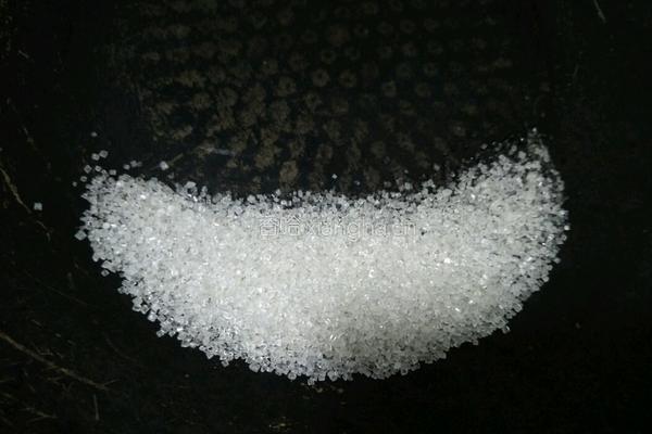 胡萝卜毛豆烧排骨的做法图解3