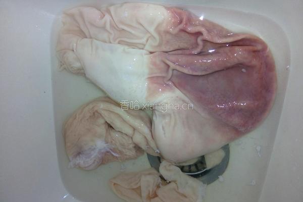 双椒肚丝的做法图解1
