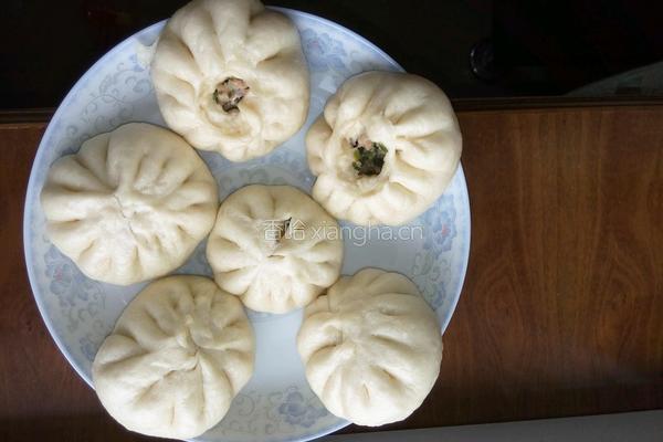 大肉包的做法图解8