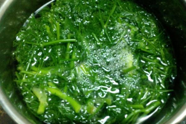 茴香瘦肉汤的做法图解4