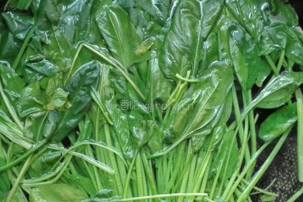 胡萝卜炒菠菜的做法图解4
