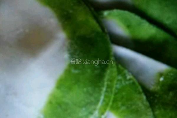 美味饺子的做法图解5