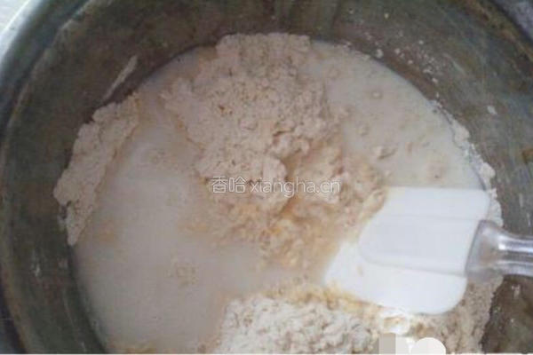 很火的奶酪包!的做法图解3