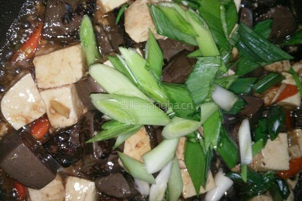 麻辣红白豆腐的做法图解9