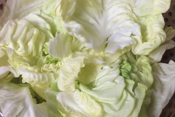 炝拌圆白菜的做法图解2