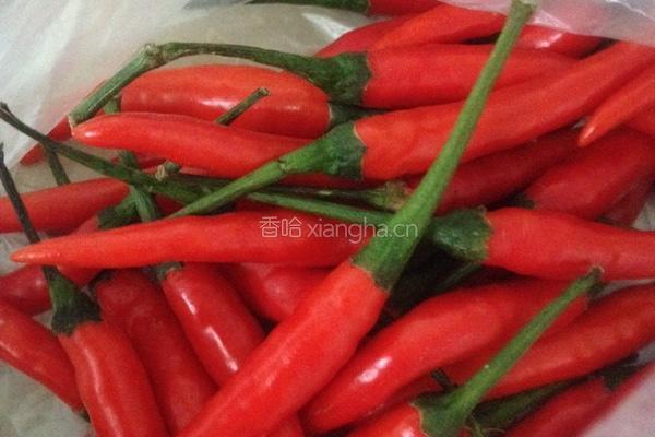 辣椒酱的做法图解3