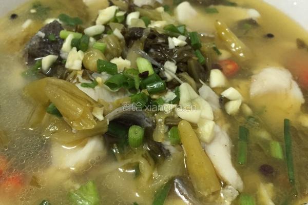 酸菜鱼的做法图解6