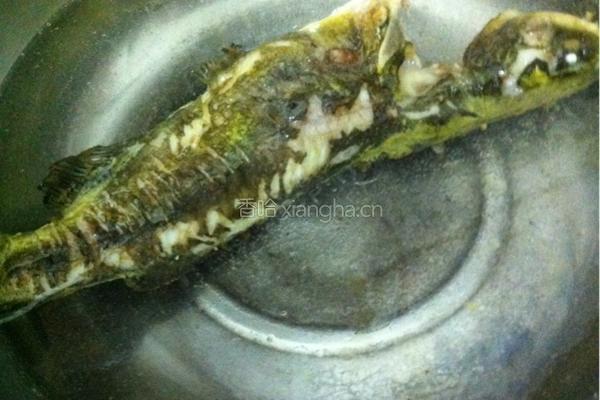 黄骨鱼豆腐汤的做法图解3