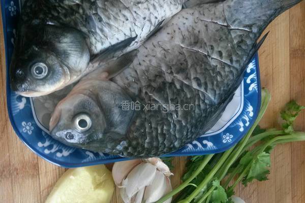 鲫鱼萝卜丝汤的做法图解1