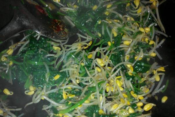 菠菜豆芽炒鸡蛋的做法图解5