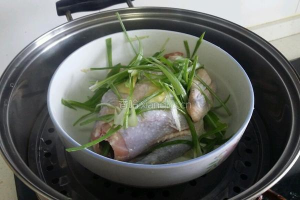清蒸童子鸡的做法图解7