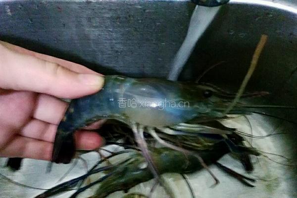 鲜虾天妇罗拉面的做法图解1
