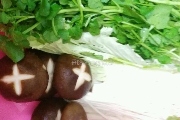 寿喜烧的做法图解10