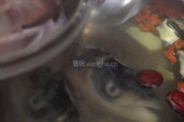 鲜天麻炖鱼头的做法图解9