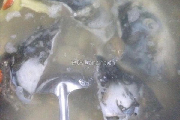 鲜天麻炖鱼头的做法图解11
