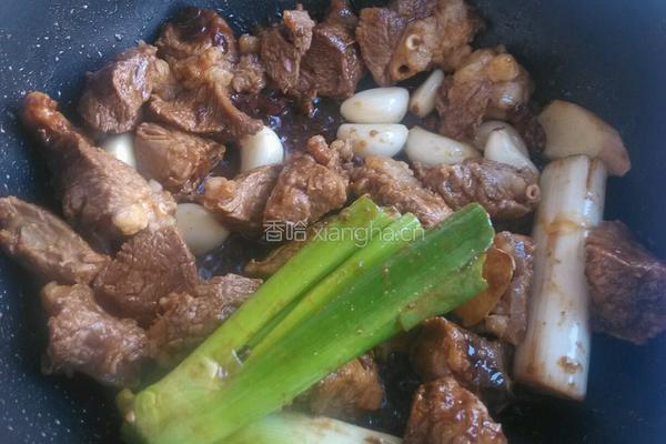牛肉炖土豆(懒人版)的做法图解4