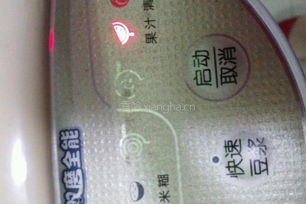 木瓜香梨奶昔的做法图解4