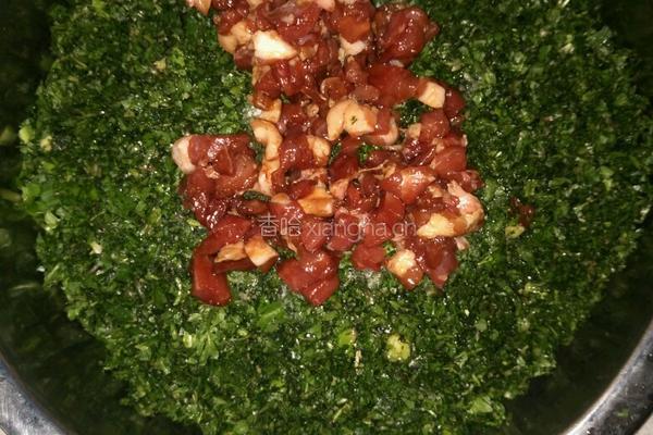 荠菜饺子的做法图解4