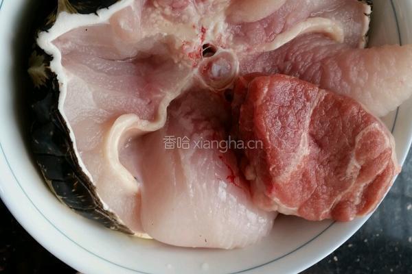川贝枇杷叶煲鳄鱼汤的做法图解1