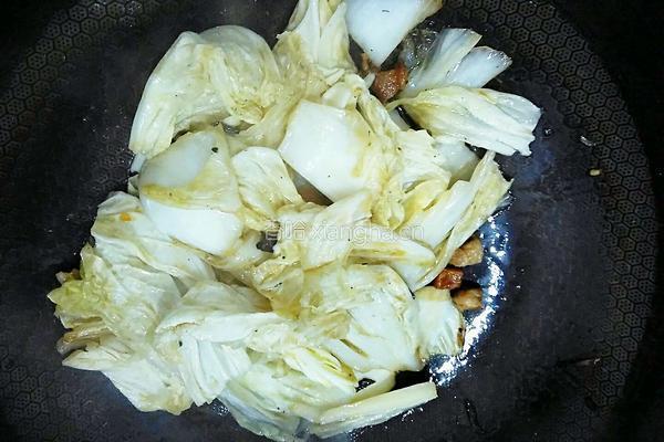 醋熘白菜的做法图解8