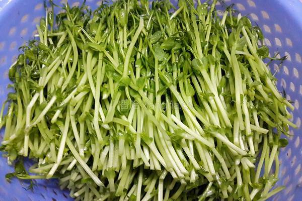 上汤豆苗的做法图解1