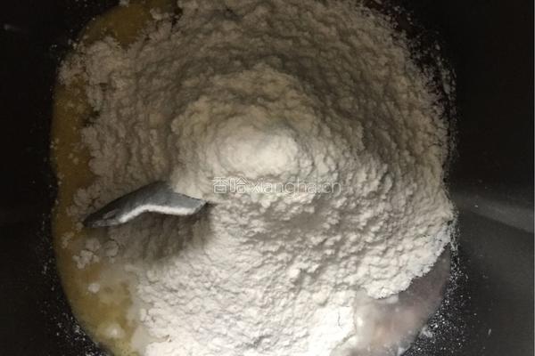 巧克力炼乳吐司（中种）的做法图解2