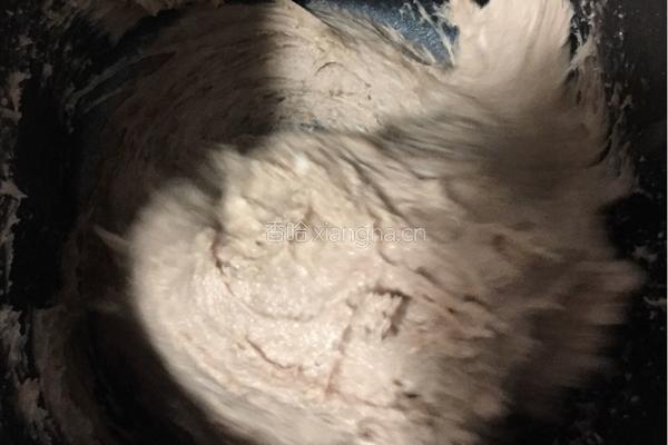巧克力炼乳吐司（中种）的做法图解4