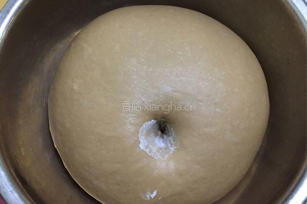 巧克力炼乳吐司（中种）的做法图解6