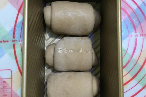 巧克力炼乳吐司（中种）的做法图解12