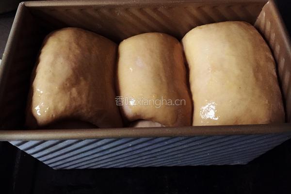 巧克力炼乳吐司（中种）的做法图解13