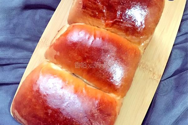 巧克力炼乳吐司（中种）的做法图解14