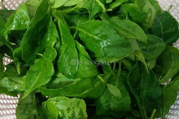 枸杞猪肝瘦肉粥的做法图解4