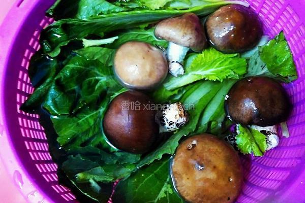 香菇白菜排骨汤的做法图解2