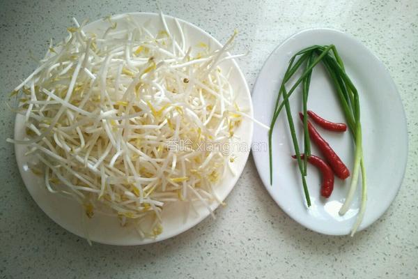 炝拌绿豆芽的做法图解1