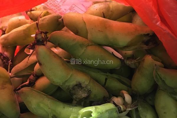 青蛙背石板的做法图解1
