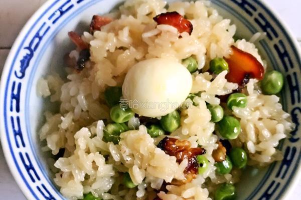 腊肉煲仔饭的做法图解7