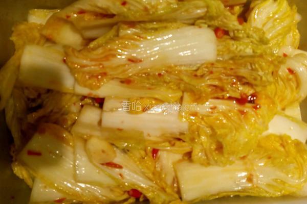韩式泡菜的做法图解4