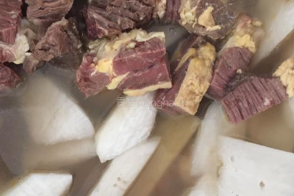 牛腩炖萝卜的做法图解4