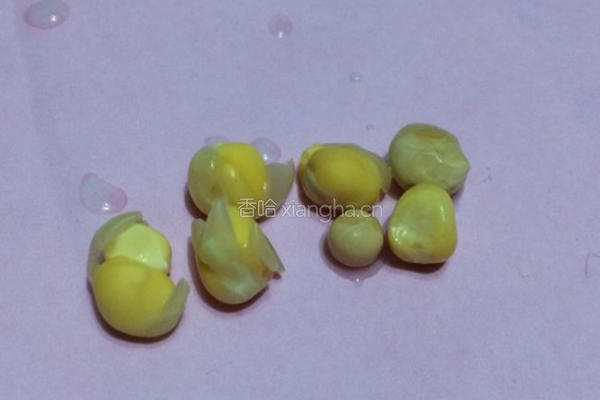水培豌豆苗的做法图解2