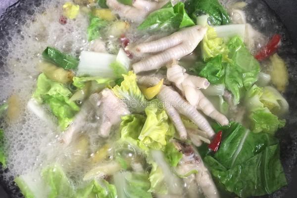 泡椒凤爪炖白菜的做法图解3