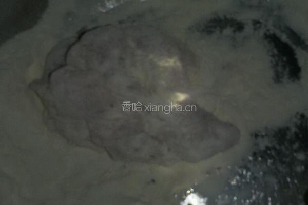 香酥炸鸡的做法图解4