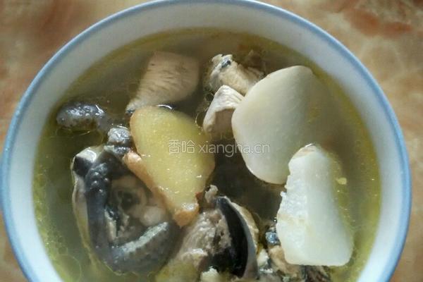 新鲜天麻炖鸡的做法图解3