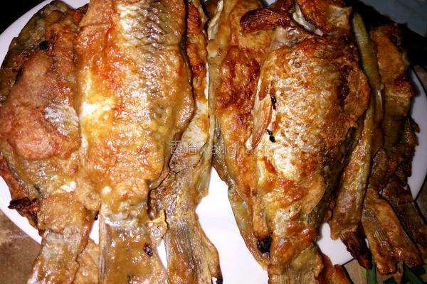 鲫鱼炖豆腐贴饼子的做法图解5
