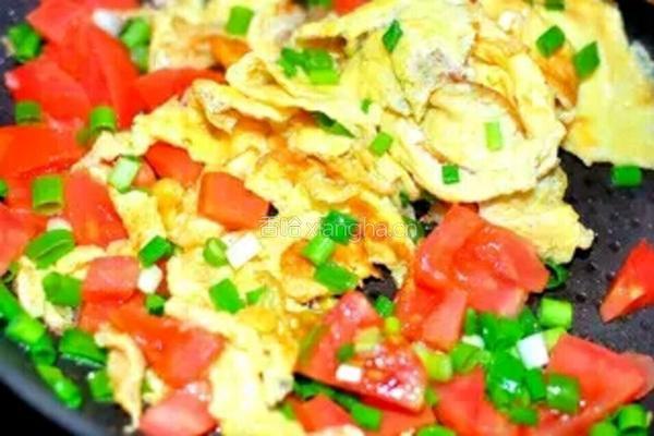 番茄鸡蛋炒饭的做法图解5