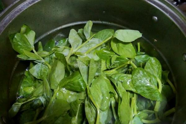 碗豆尖鸡汤的做法图解3
