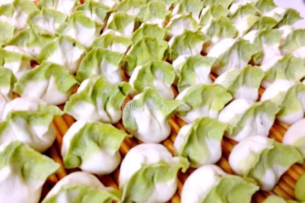 翡翠白菜饺子的做法图解11