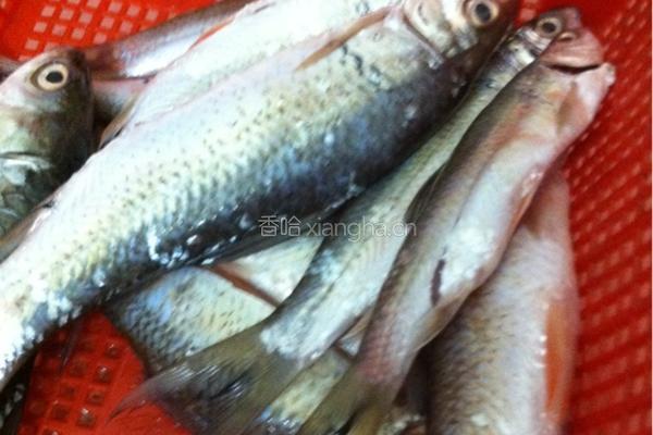蒸豆豉鱼的做法图解1