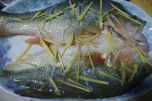 清蒸鲈鱼的做法图解5