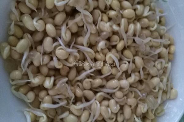 黄豆炒肉的做法图解1
